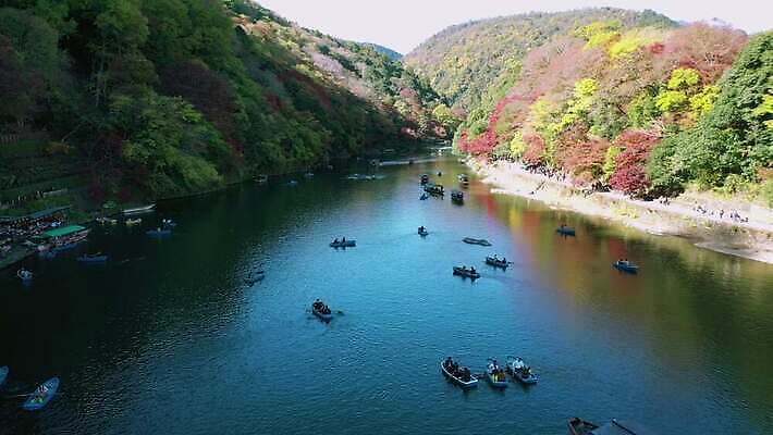 나무 식물 전통 계절 아시아 여행 단풍 잎 자연 하늘 휴가 산 안테나 동양인 사람없음 야외 빨간색 초록색 물 파란색 강 컬러풀 여행객 정원 일본 활발 도시 보트 숲 대나무 내추럴 교토 드론 랜드마크 조감도 4K MOV 해외동영상 클립영상 자연요소 나라 컬러 컨셉 배_교통 통신 사람 인종 생태계 동영상 파일형식