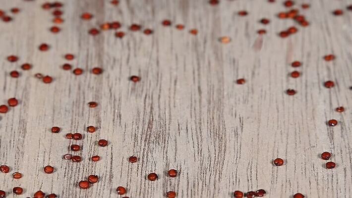 음식 백그라운드 재료 모션 탁자 표면 건조 건강 요리 씨앗 사람없음 목재 빨간색 갈색 주방 가을 붓기 닫기 자르기 시리얼 먹기 롤 쏟아짐 느림 흙더미 내추럴 그런지 퀴노아 튕기기 많음 MOV 해외동영상 클립영상 나무 식물 계절 컬러 가구 컨셉 곡류 흙 동영상 파일형식 더미