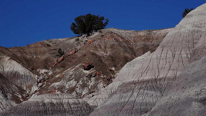 공원 모래 컬러 백그라운드 자연 산 건조 국립공원 사람없음 빨간색 컬러풀 골짜기 계곡 미국 흙 사막 그리기 숲 언덕 부식 지역 사암 애리조나 내추럴 전국 지질학 불모지 막 4K MOV 해외동영상 클립영상 공공시설 교육 북아메리카 모션 돌_바위 생태계 동영상 파일형식