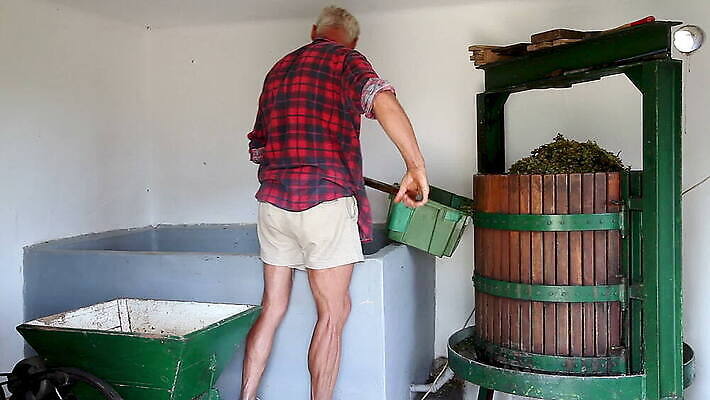 전통 라이프스타일 산업 농업 과일 기술 한명 사람 목재 농경지 와인 기계 주스 수확 시골 알코올 업무 농부 컨테이너 준비 복고 만들기 포도밭 발효 포도나무 언론 헝가리 방법 압력 양조장 조작 지하실 핸드메이드 MOV 해외동영상 클립영상 나무 직업 1 음료 밭 재료 모션 주류 생활 농장 작업 과일나무 동영상 동유럽 파일형식