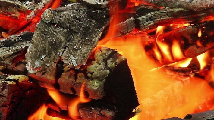 나무 디자인 선 파도 백그라운드 패턴 오렌지 모션 자연 프레임 따뜻함 사람없음 목재 빨간색 빛 컬러풀 노란색 검은색 힘 에너지 뜨거움 연기 위험 모닥불 질감 매움 온도 연소 광 엘리먼트 지옥 화상 MOV 해외동영상 클립영상 식물 바다 컬러 컨셉 무늬 과일 재료 불 맛 상처 생태계 동영상 파일형식