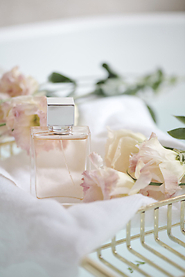 포토 JPG 라이프스타일 꽃 백그라운드 사람없음 아웃포커스 수건 화장품 고급 향수 오브젝트 감성 향수병 국내포토 식물 컨셉 촬영기법 생활 위생용품 뷰티 병_담는 파일형식