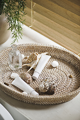 포토 JPG 식물 라이프스타일 백그라운드 사람없음 화장품 돌_바위 블라인드 고급 소라 향수 오브젝트 담기 감성 튜브용기 국내포토 컨셉 모션 어패류 생활 뷰티 커튼 용기_그릇 파일형식