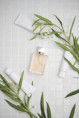 포토 JPG 식물 라이프스타일 백그라운드 잎 사람없음 하이앵글 화장품 고급 타일 향수 오브젝트 흰배경 감성 타일바닥 튜브용기 핸드크림 향수병 고체향수 국내포토 뷰포인트 컨셉 바닥 생활 뷰티 흰색 용기_그릇 병_담는 파일형식