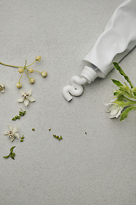 포토 JPG 스튜디오촬영 라이프스타일 꽃 백그라운드 회색배경 사람없음 하이앵글 화장품 고급 향수 오브젝트 감성 튜브용기 핸드크림 고체향수 국내포토 식물 뷰포인트 컨셉 실내 생활 뷰티 회색 용기_그릇 파일형식