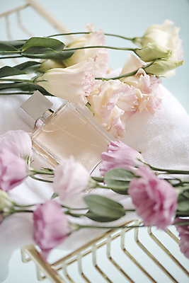 포토 JPG 라이프스타일 꽃 백그라운드 사람없음 수건 화장품 고급 향수 오브젝트 감성 향수병 국내포토 식물 컨셉 생활 위생용품 뷰티 병_담는 파일형식