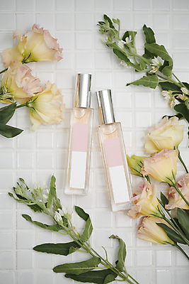 포토 JPG 라이프스타일 꽃 백그라운드 사람없음 하이앵글 화장품 고급 타일 향수 오브젝트 감성 타일바닥 향수병 국내포토 식물 뷰포인트 컨셉 바닥 생활 뷰티 병_담는 파일형식