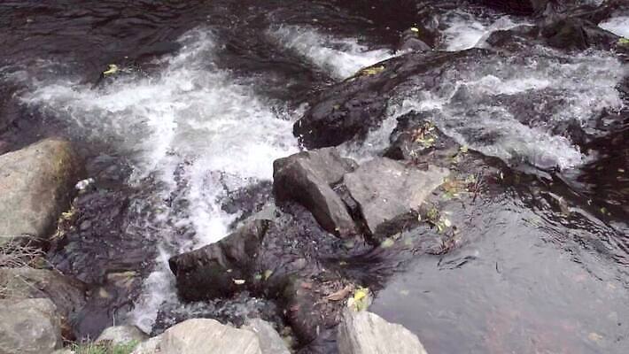 컨셉 휴식 산 사람없음 초록색 물 강 달리기 거품 폭포 흐름 추위 신선 급류 작음 크리스탈 명상 속도 암초 루마니아 트란실바니아 MP4 해외동영상 클립영상 자연요소 유럽 컬러 모션 자연 크기 광석 동영상 파일형식