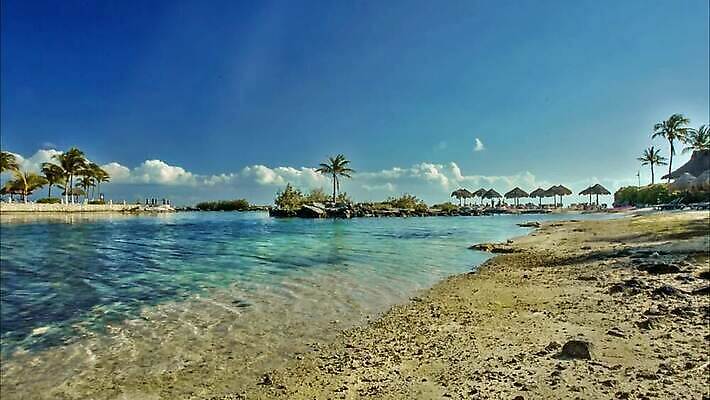모래 파도 바다 섬 여행 우산 자연 휴가 불꽃 휴식 멕시코 손바닥 풍경 해변 사람없음 여름 관광지 야자수 태양 뷰티 평화 일몰 뜨거움 충돌 묘사 휴양지 암초 마야 이국적 칸쿤 파라다이스 화창 MP4 해외동영상 클립영상 자연요소 나무 손 계절 컨셉 북아메리카 불 날씨 노을 장소 생태계 마야문명 동영상 파일형식
