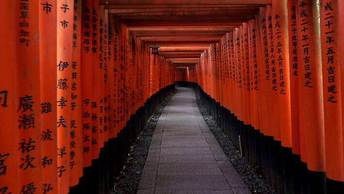 전통 건축물 아시아 종교 문화 길 선 여행 불교 오렌지 건축양식 모션 동양인 사람없음 목재 빨간색 빛 일본 등불 사찰 복도 터널 재산 심볼 통로 대문 교토 랜드마크 사당 1인칭시점 4K MOV 해외동영상 클립영상 나무 시선 건축 나라 컬러 과일 재료 종교건축 조명 인종 금융 문 동영상 파일형식
