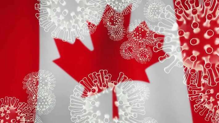 컨셉 단풍 캐나다 세포 실험 사람없음 글로벌 3D 중국 고통 죽음 깃발 바이러스 질병 위험 예방 감염 전염 애니메이션 백신 벤쿠버 전염병 증상 사스 코로나바이러스 4K 락다운 MOV 해외동영상 클립영상 감정 아시아 잎 북아메리카 의학 디지털합성 동영상 파일형식