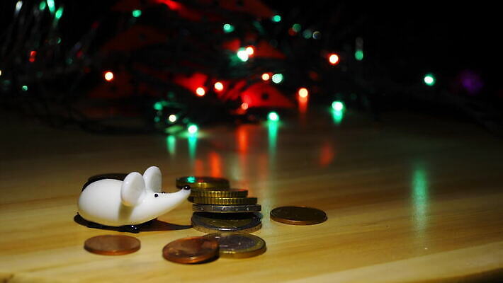 나무 동물 행복 음식 포즈 백그라운드 컨셉 크리스마스 포유류 휴가 새로움 털 실내 선물 사람없음 장식 반려동물 놀람 기쁨 흰색 기다림 닫기 해충 쥐 설치류 작음 연도 사인 코 꼬리 귀 마법 솜털 발톱 총구 4K MOV 해외동영상 클립영상 식물 기념일 감정 컬러 모션 발 표정 내부 신체부위 벌레 크기 동영상 파일형식