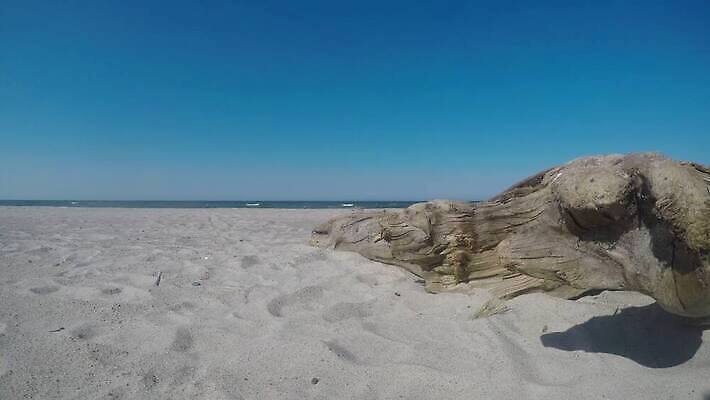 나무 모래 파도 바다 여행 백그라운드 자연 하늘 바람 휴가 풍경 사람없음 목재 물 파란색 힘 소리 거친 서핑 고독 뿌리 폭풍 동영상 내추럴 발트해 비어있는 4K MP4 해외동영상 클립영상 자연요소 식물 감정 컬러 재료 날씨 북유럽 수상스포츠 생태계 파일형식