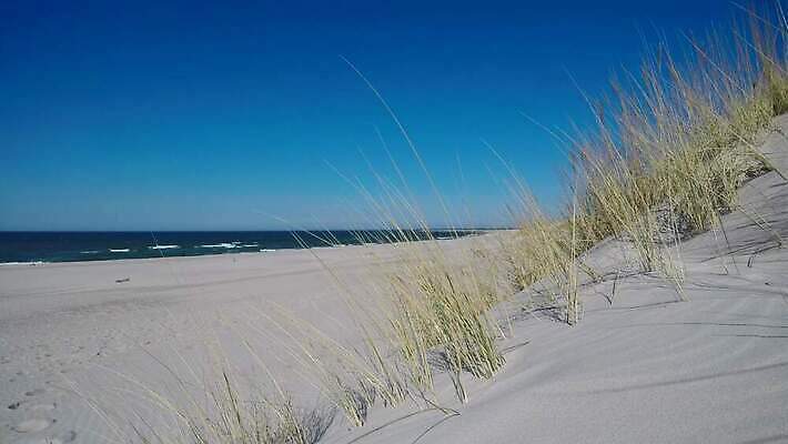 식물 구름 모래 하늘 바람 휴가 사람없음 야외 물 여름 파란색 소리 거친 서핑 방파제 폴란드 발트해 파라다이스 폭풍우 비어있는 4K MP4 해외동영상 클립영상 자연요소 계절 공공시설 유럽 바다 컬러 날씨 북유럽 수상스포츠 비_날씨 자연재해 동영상 파일형식