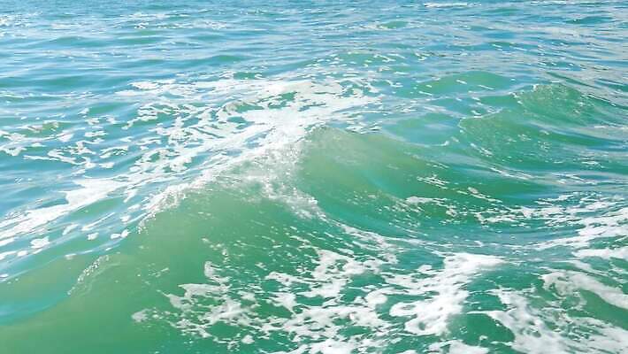 물결 파도 바다 여행 백그라운드 요트 교통시설 모션 자연 표면 휴가 휴식 사람없음 물 여름 파란색 힘 거품 젖음 흰색 액체 보트 서핑 떨어짐 빨래 크루즈 속도 꼬리 분무기 모터보트 모터 뱃놀이 터키석 4K MP4 해외동영상 클립영상 자연요소 계절 컬러 교통 컨셉 가사 배_교통 전통놀이 수상스포츠 보석 시설 생태계 동영상 파일형식