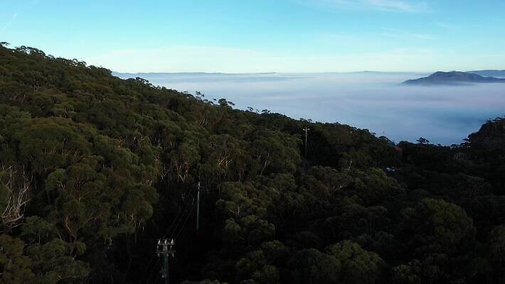 나무 구름 계절 여행 자연 날씨 산 안테나 풍경 사람없음 야외 초록색 파란색 여행객 환경 계곡 추위 안개 흰색 호주 숲 땅 머리위 동영상 흐림 드론 내려보기 4K MP4 해외동영상 클립영상 자연요소 식물 컬러 통신 모션 사람 오세아니아 생태계 파일형식
