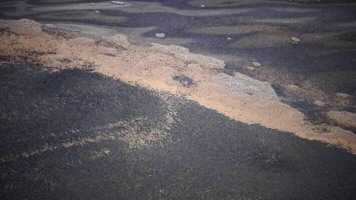 동물 바다 백그라운드 자연 표면 새우 어류 사람없음 빨간색 물 반려동물 우주 검은색 수영 젖음 원숭이 작음 질감 수족관 우즈베키스탄 고립 4K MP4 해외동영상 클립영상 자연요소 컬러 포유류 갑각류 수중동물 수상스포츠 크기 생태계 동영상 중앙아시아 파일형식