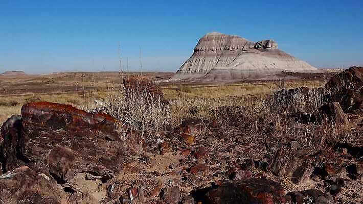 나무 공원 여행 자연 하늘 산 파노라마 국립공원 사람없음 야외 목재 빨간색 컬러풀 계곡 미국 사막 암석 나뭇가지 숲 크리스탈 부식 화석 애리조나 전국 절정 지질 지질학 불모지 4K MP4 해외동영상 클립영상 식물 공공시설 교육 컬러 북아메리카 재료 촬영기법 돌_바위 광석 생태계 동영상 파일형식