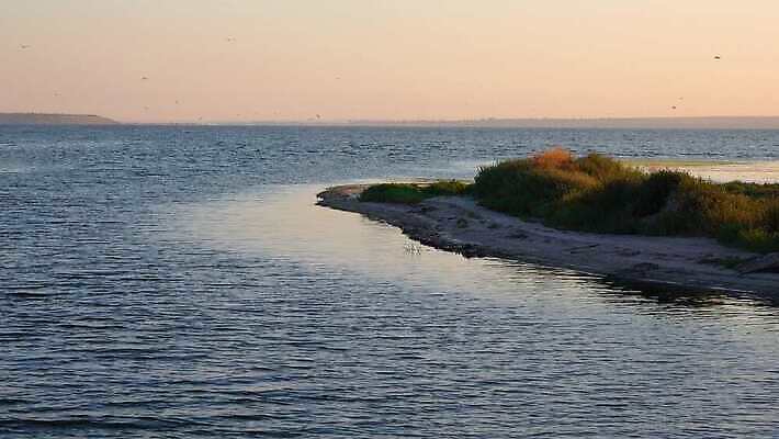 동물 계절 음식 파도 바다 겨울 날개 자연 갈매기 풍경 사람없음 야외 물 파란색 세계 항구 검은색 수영 절벽 추위 만 우아함 깃털 부리 물새 청둥오리 단절 4K MP4 해외동영상 클립영상 자연요소 컬러 컨셉 교통시설 조류 오리 수상스포츠 생태계 동영상 파일형식