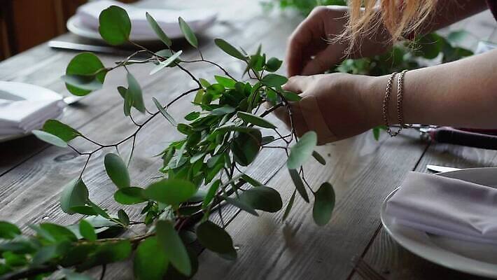 식기 접시 잎 탁자 한명 냅킨 여객 MOV 해외동영상 클립영상 식물 1 가구 사람 동영상 파일형식