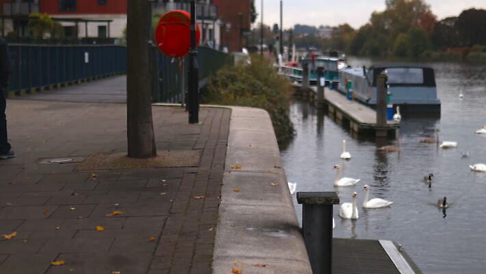 나무 동물 계절 유럽 여행 잎 교통시설 자연 하늘 아침 영국 바닥 오리 풍경 사람없음 물 강 도시풍경 반사 일출 가을 도시 보트 백조 수로 운하 스카이라인 동영상 옛날 스코틀랜드 4K MOV 해외동영상 클립영상 주간 자연요소 식물 나라 교통 배_교통 조류 노을 시설 생태계 파일형식