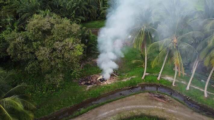 식물 계절 아시아 백그라운드 자연 불 바람 불꽃 풍경 사람없음 농장 환경 시골 오픈 오염 분위기 연기 쓰레기 위험 땅 지구온난화 밀짚 내추럴 재 화상 4K MOV 해외동영상 클립영상 자연요소 나라 컨셉 농업 날씨 짚 상처 생태계 동영상 기후변화 파일형식
