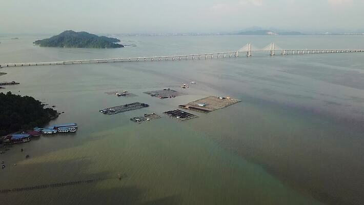 전통 산업 아시아 바다 섬 여행 농업 자연 하늘 어류 사람없음 야외 물 신선 잡기 어장 말레이시아 내추럴 밭일 수경재배 4K 페낭 MOV 해외동영상 클립영상 자연요소 나라 모션 수중동물 생태계 동영상 파일형식