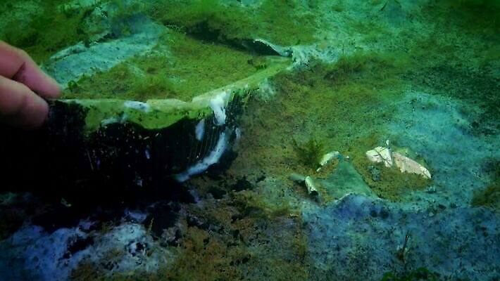 동물 야생동물 바다 가방 자연 생물 무척추동물 사람없음 물 환경 바닷속 수중 손상 흰색 오염 쓰레기 폐기물 파편 플라스틱 지중해 생태계 문제 낭비 생태학 4K 수중영상 MP4 해외동영상 클립영상 자연요소 잡화 교육 컬러 컨셉 재질 동영상 파일형식