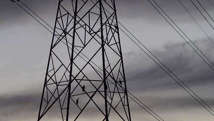 실루엣 야생동물 자연 조류 하늘 사람없음 야외 탑 검은색 힘 에너지 연결 위험 순환 건너기 분배 전압 철강 배선 4K MOV 해외동영상 클립영상 동물 건축물 컬러 컨셉 모션 촬영기법 한자 생태계 동영상 파일형식