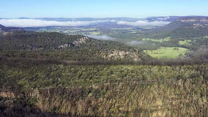 나무 구름 여행 자연 하늘 불 날씨 산 건조 안테나 풍경 사람없음 야외 초록색 여름 파란색 햇빛 갈색 환경 계곡 검은색 뜨거움 호주 숲 땅 언덕 암초 가뭄 동영상 드론 치유 4K MP4 해외동영상 클립영상 자연요소 식물 계절 컬러 통신 태양 오세아니아 생태계 파일형식