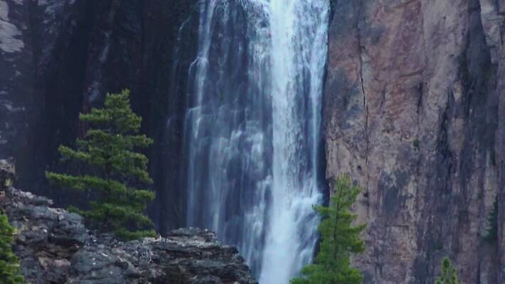 나무 자연 산 사람없음 야외 물 강 골짜기 폭포 흐름 신선 개울 숲 삼림지대 워싱턴 전국 지질학 로키산맥 4K MP4 해외동영상 클립영상 자연요소 식물 교육 컨셉 미국 생태계 동영상 파일형식