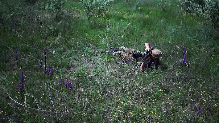 식물 꽃 물결 밭 자연 바람 건조 씨앗 사람없음 초록색 여름 펼침 속도 솜털 내추럴 스텝 4K MP4 해외동영상 클립영상 자연요소 계절 컬러 농업 모션 날씨 생태계 동영상 파일형식