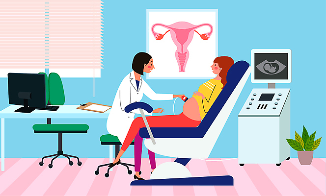 전신 여자 의자 일러스트 의료기기 들기 앉기 성인 두명 컴퓨터 임산부 진료 의사 책상 산부인과 자궁 산부인과의사 진료실 초음파 초음파검사 초음파사진 성인여자만 국내일러스트 AI파일 가구 의학 모션 병원 사람 전자제품 임신 의료진 장기_의학 검사_조사 여자만 성인만 파일형식 벡터