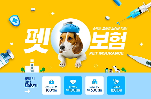 PSD 편집이미지 한마리 병원 주사기 타이포그라피 사람없음 금융 반려동물 노란색 강아지 온도계 체온계 비글 얼음주머니 보험 동물보험 혜택 바이알 나오기 이미지편집 동물 문자 1 컬러 의학 의료기기 모션 경제 의료용품 개 주머니 파일형식