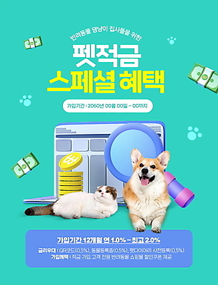 PSD 편집이미지 반려견 두마리 돋보기 사람없음 금융 반려동물 고양이 강아지 돈다발 통장 동전탑 민트색 스코티시폴드 스페셜 웰시코기 적금 반려묘 혜택 이미지편집 동물 컬러 돈 2 포유류 경제 쌓기 동전 개 파일형식