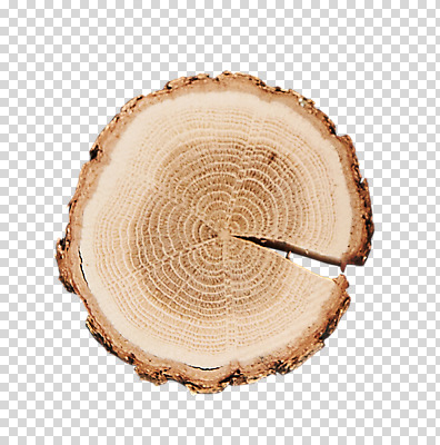 나무 편집 편집이미지 단면 누끼 사람없음 통나무 나무토막 나이테 PNG 편집소스 식물 파일형식