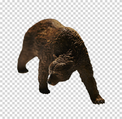 편집 편집이미지 한마리 곰 누끼 사람없음 미니어처 동물모형 PNG 편집소스 동물 1 포유류 모형 파일형식