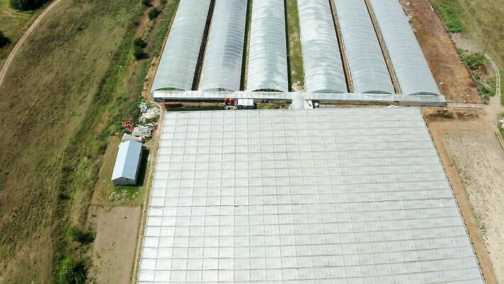 식물 산업 농업 채소 공장 건강 사람없음 초록색 농작물 농장 정원 수확 성장 신선 상추 유기농 원예 생물학 날것 하이테크 모종 온실 세련 4K MOV 해외동영상 클립영상 웰빙 교육 컬러 공업 기술 취미 동영상 파일형식