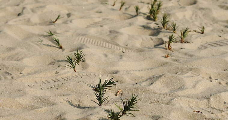 디자인 아시아 도로 모래 파도 여행 백그라운드 패턴 자연 휴가 미술 사람없음 환경 맑음 희망 사막 시간 뜨거움 구멍 야간 저녁 사파리 언덕 질감 온도 동쪽 고립 방법 오해 진짜 케랄라주 4K MOV 해외동영상 클립영상 자연요소 감정 나라 길 바다 무늬 교통시설 날씨 문화예술 인도_나라 방향 생태계 동영상 파일형식