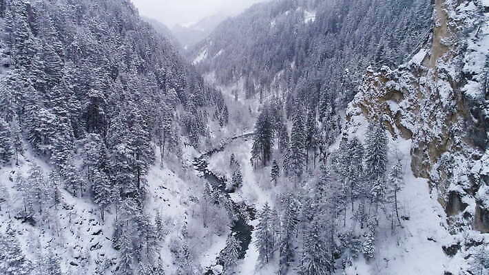 나무 겨울 자연 하늘 산 안테나 풍경 사람없음 야외 골짜기 기찻길 추위 흰색 터널 숲 스위스 알프스 공학 항공촬영 구름다리 랜드마크 옛날 조감도 4K MOV 해외동영상 클립영상 식물 계절 교육 유럽 길 뷰포인트 컬러 통신 다리 생태계 동영상 가교 파일형식