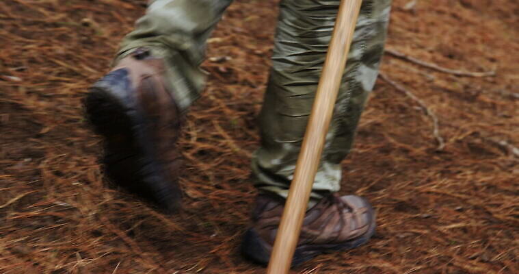 동물 남자 도로 길 중년 아프리카 자연 한명 야외 뒷모습 반려동물 걷기 가축 개 숲 엉덩이 꼬리 몸통 남아프리카 삼림지대 케이프타운 4K 트래킹숏 MOV 해외동영상 클립영상 1 나라 뷰포인트 포유류 교통시설 모션 촬영기법 사람 성인 신체부위 생태계 동영상 남아프리카공화국 파일형식