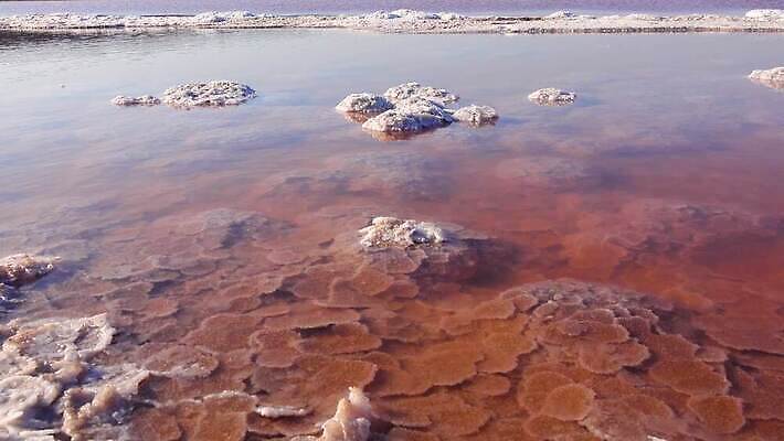 호수 바다 백그라운드 자연 사람없음 야외 물 흰색 약초 크리스탈 휴양지 진흙 결정체 지구온난화 내추럴 우크라이나 짠맛 오데사 4K MP4 해외동영상 클립영상 자연요소 유럽 컬러 장소 풀_식물 맛 광석 생태계 동영상 기후변화 파일형식