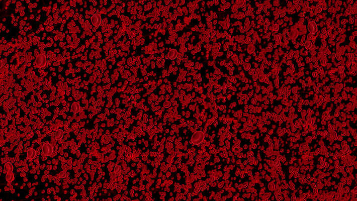 과학 백그라운드 신체 해부 생물 세포 건강 현미경 사람 사람없음 빨간색 약 3D 흐름 혈액 확대 질병 생물학 순환 함선 만들기 미생물 활기 애니메이션 암 테라피 박테리아 동맥 정맥 유전 MOV 해외동영상 클립영상 교육 컬러 컨셉 배_교통 의학 모션 실험기구 뷰티 디지털합성 혈관 동영상 파일형식