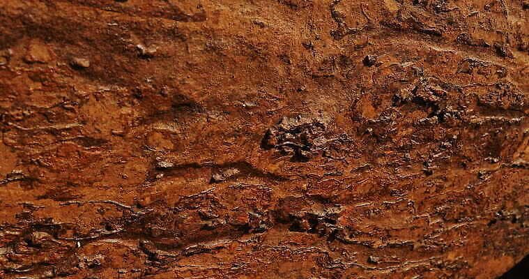 모양 디자인 컬러 조각 과학 백그라운드 패턴 자연 산 사람없음 장식 갈색 금속 수확 거친 동굴 크리스탈 광석 보석 철 발굴 언덕 질감 꼬리 날것 대리석 다이아몬드 치수 깊이 지질학 호러 화강암 니켈 4K MOV 해외동영상 클립영상 교육 무늬 농업 재료 재질 암석 원소 생태계 공포 동영상 파일형식