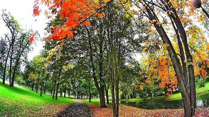 나무 식물 계절 공원 호수 컬러 여행 건축양식 자연 하늘 산 주택 풍경 사람없음 야외 가로 초록색 물 여름 강 태양 반사 일출 가을 연못 도시 숲 내추럴 요세미티국립공원 전국 콜로라도 MOV 해외동영상 클립영상 자연요소 공공시설 건축 국립공원 건물 노을 미국 생태계 캘리포니아 동영상 파일형식