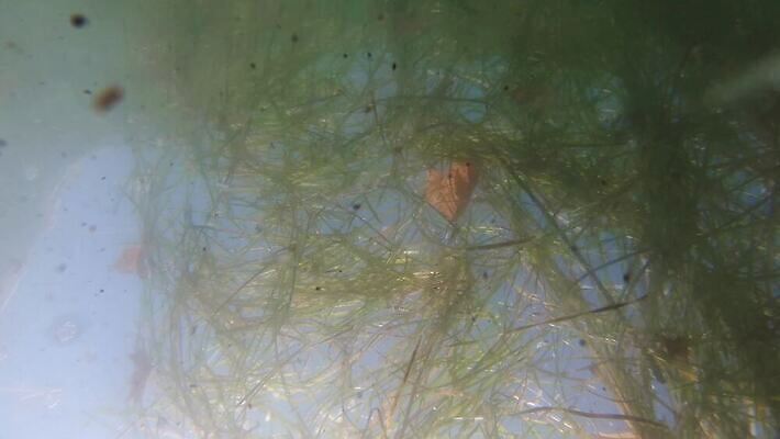 바다 백그라운드 자연 사람없음 초록색 물 강 글로벌 갈색 환경 손상 흐름 도시 액체 개울 환경오염 오염 지저분함 보호 쓰레기 폐기물 위험 플라스틱 버리기 파이프 튜브 문제 낭비 내추럴 재앙 폐수 화학물질 4K MP4 해외동영상 슬로모션 클립영상 자연요소 컬러 컨셉 모션 재질 촬영기법 감각 화학 생태계 동영상 파일형식