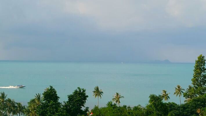 나무 바다 섬 여행 백그라운드 교통시설 자연 하늘 휴가 휴식 손바닥 풍경 사람없음 초록색 물 여름 파란색 태양 맑음 침묵 흰색 전원 만 보트 재산 산호 크루즈 휴양지 마이애미 터키석 파라다이스 플로리다 MOV 해외동영상 클립영상 자연요소 식물 손 계절 컬러 교통 컨셉 배_교통 날씨 금융 미국 소리 장소 자포동물 전기에너지 보석 시설 생태계 동영상 파일형식