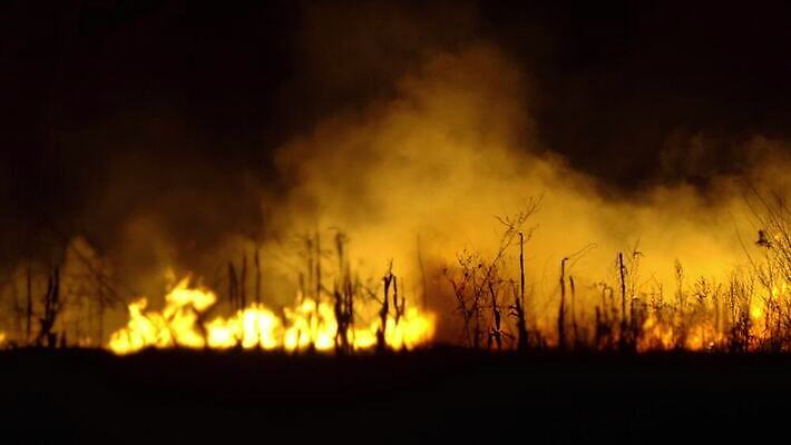나무 자연 불 날씨 불꽃 사람없음 목재 빨간색 환경 손상 안개 긴급 죽음 뜨거움 오염 변화 연기 야간 숲 위험 폭발 지역 문제 연소 땅바닥 생태학 석탄 이산화탄소 재앙 점화 화상 4K MP4 해외동영상 클립영상 자연요소 식물 교육 컬러 컨셉 재료 바닥 상처 생태계 동영상 파일형식