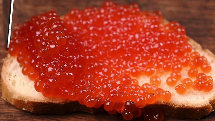 음식 빵 바다 조각 오렌지 재료 공 건강 어류 사람없음 빨간색 식당 계란 식사 저녁식사 흐름 흰색 신선 칼 고급 아침식사 해산물 날것 연어 점심식사 식품점 절임 짠맛 캐비아 맛있는 MOV 해외동영상 클립영상 컬러 컨셉 과일 식재료 상점 알 수중동물 맛 동영상 파일형식