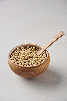 포토 JPG 스튜디오촬영 회색배경 콩 사람없음 숟가락 건강식 다이어트음식 두부요리 메주콩 국내포토 음식 백그라운드 다이어트 곡류 수저 실내 회색 파일형식